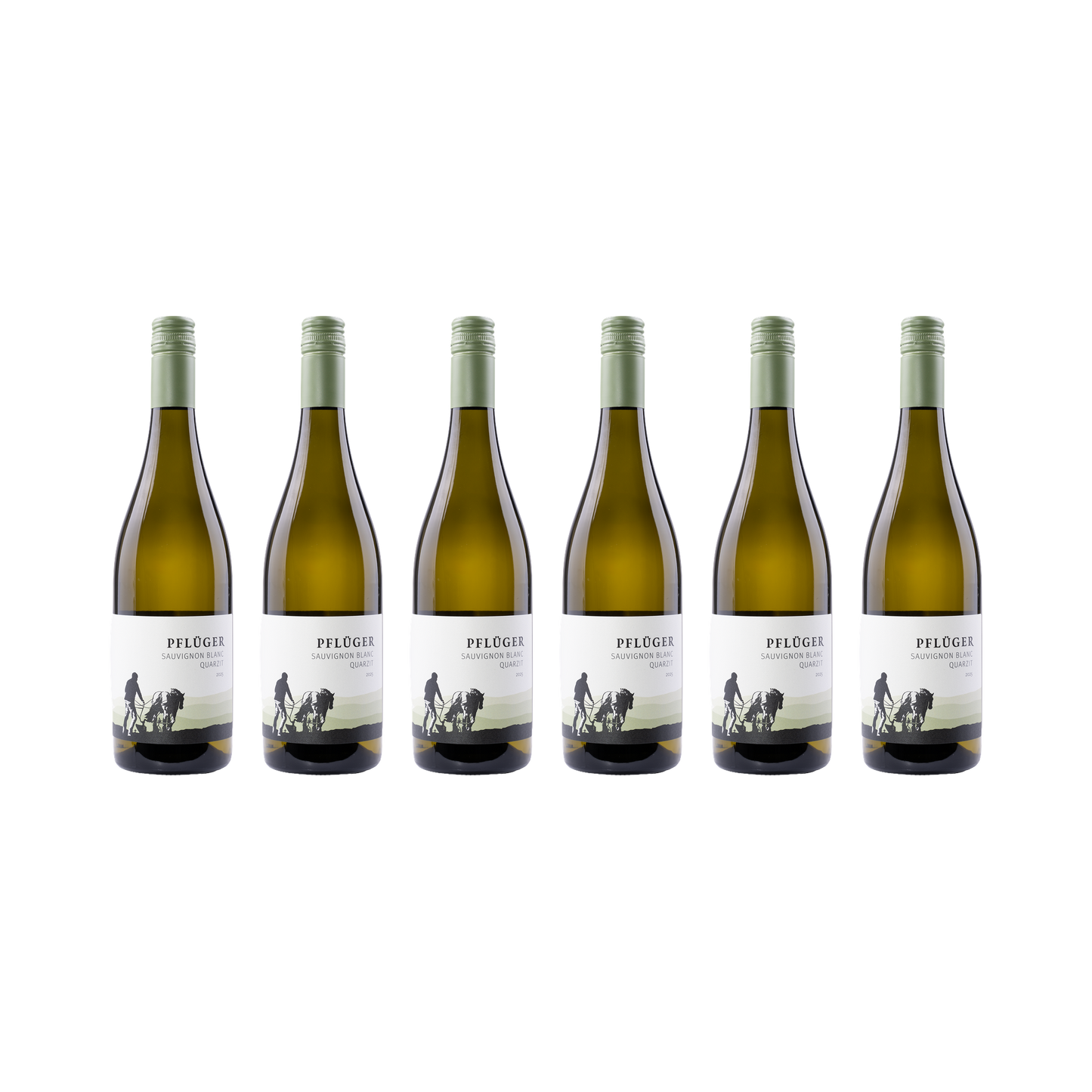 Sauvignon Blanc Quarzit – 2025 – 6er Set