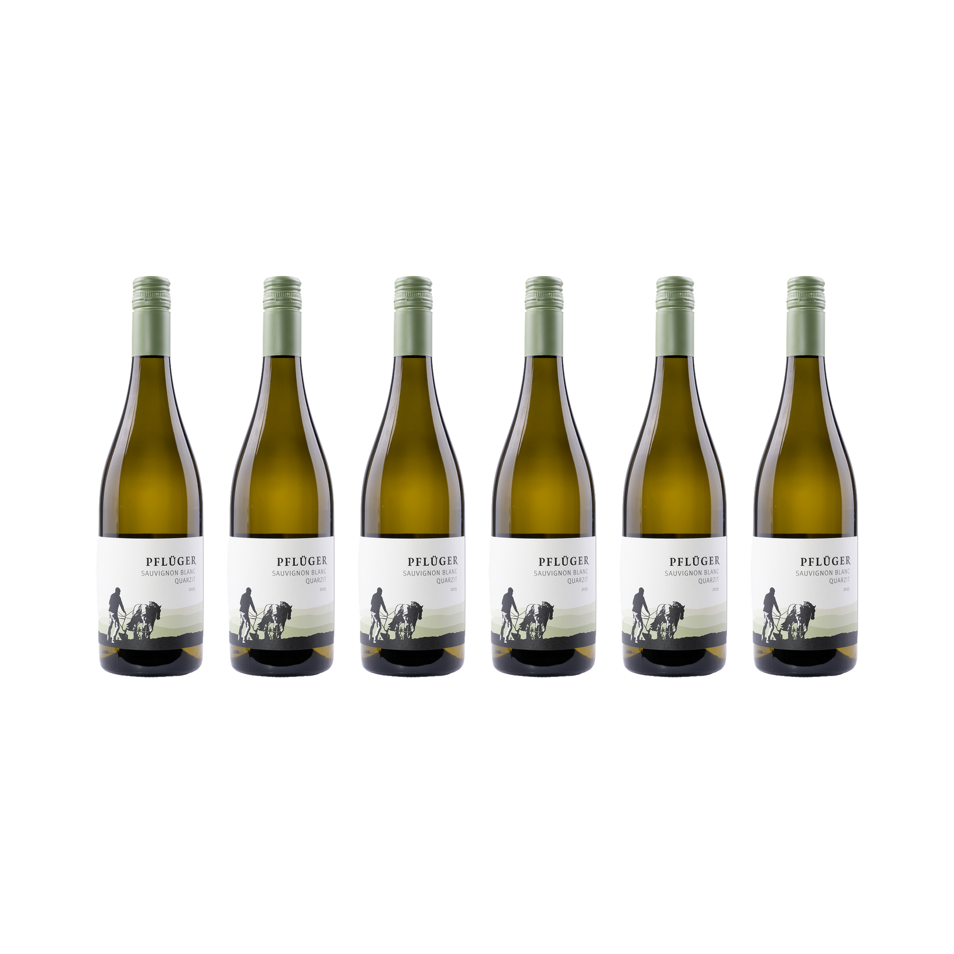 Sauvignon Blanc Quarzit – 2025 – 6er Set