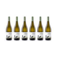Sauvignon Blanc Quarzit – 2025 – 6er Set