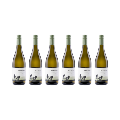 Sauvignon Blanc Quarzit – 2025 – 6er Set