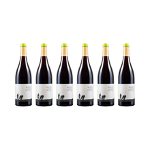 Fronhof Pinot Noir – 2018 — 6× 750 ml