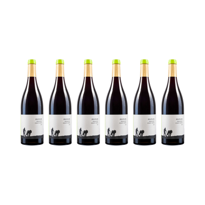 Fronhof Pinot Noir – 2018 — 6× 750 ml