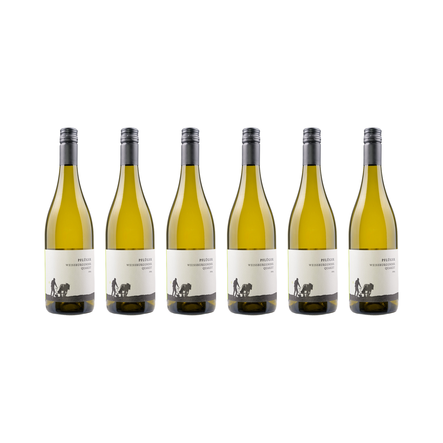 Weißburgunder Quarzit – 2024 — 6× 750 ml