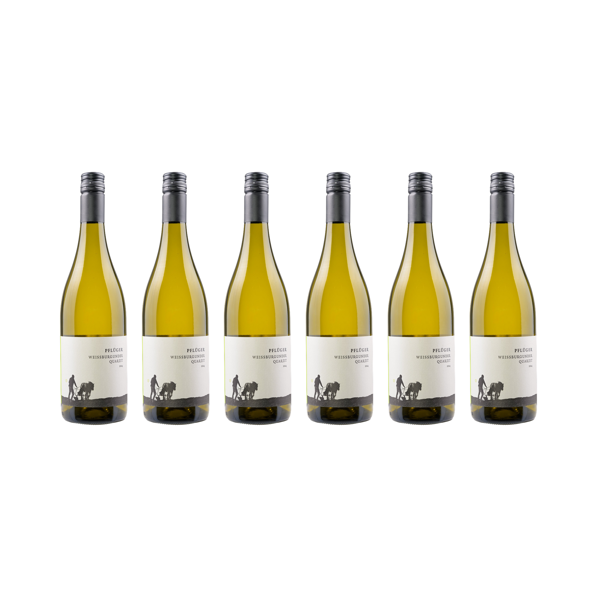 Weißburgunder Quarzit – 2024 — 6× 750 ml