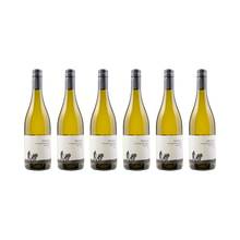Weißburgunder Quarzit – 2024 — 6× 750 ml