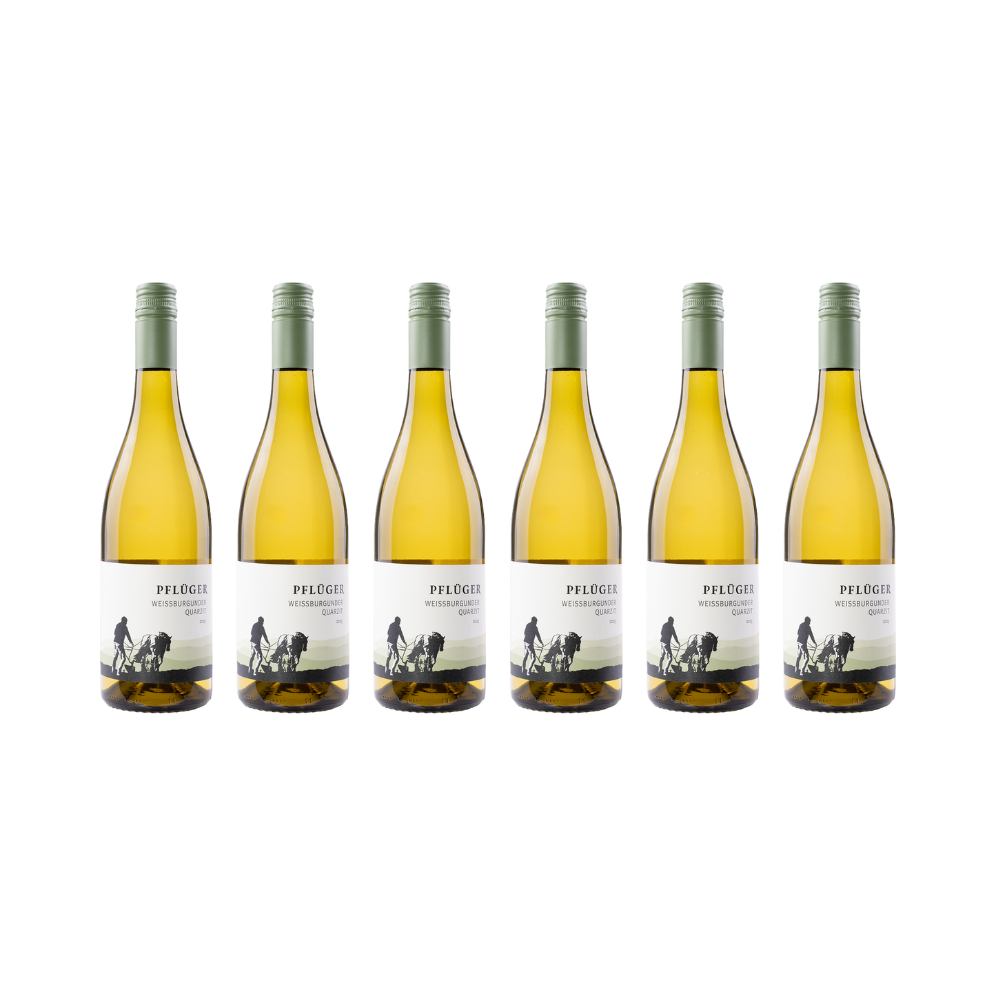Weißburgunder Quarzit – 2025 – 6er Set