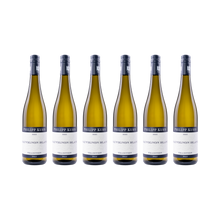 Sauvignon Blanc – 2025 — 6× 750 ml