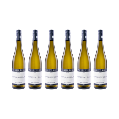 Sauvignon Blanc – 2025 — 6× 750 ml