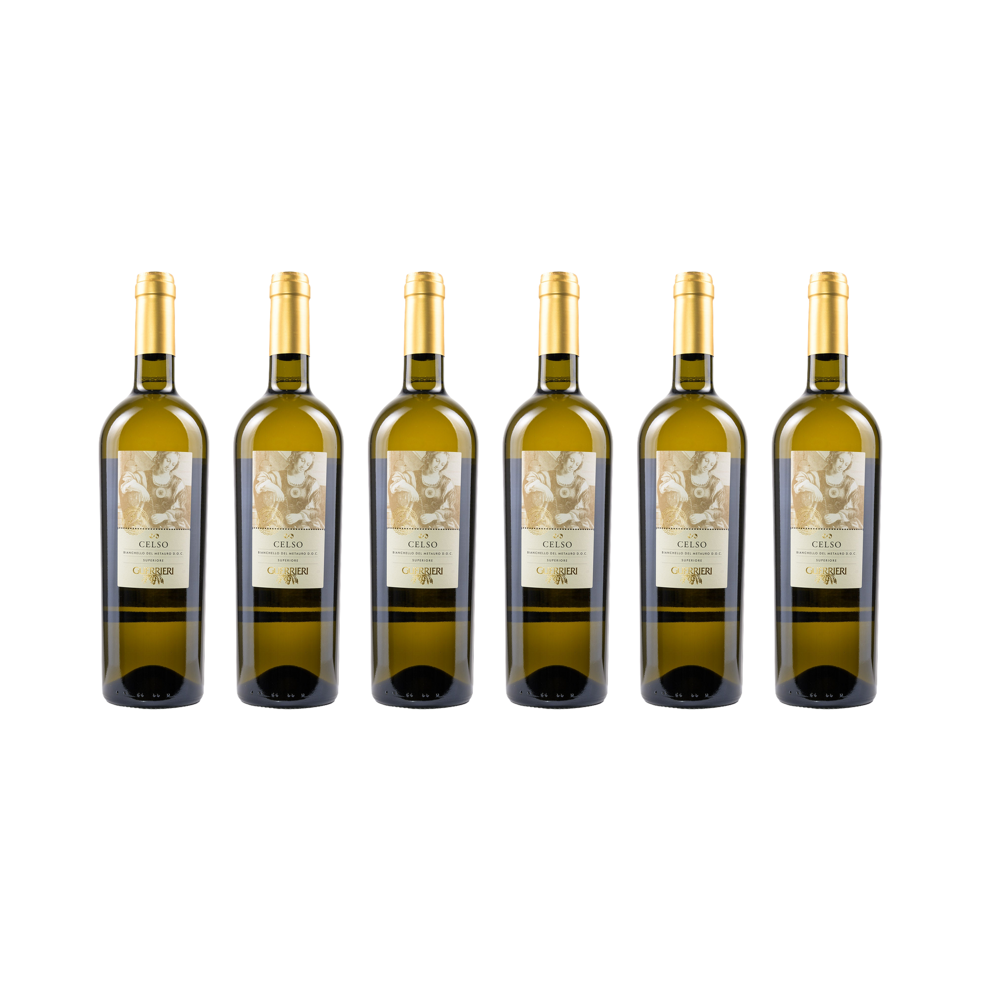 Celso Bianchello del Metauro Superiore DOC – 2025 — 6× 750 ml