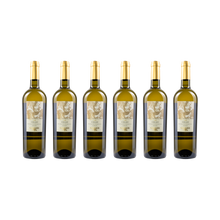 Celso Bianchello del Metauro Superiore DOC – 2025 — 6× 750 ml