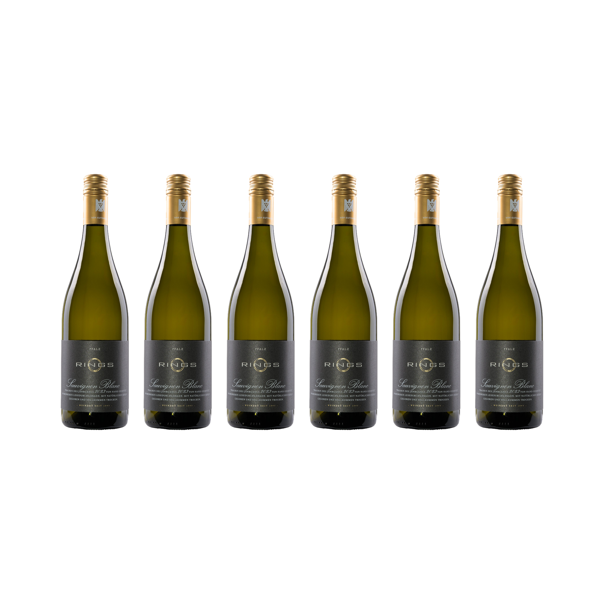 Sauvignon Blanc 2023 — 6× 750 ml
