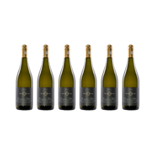 Sauvignon Blanc 2023 — 6× 750 ml