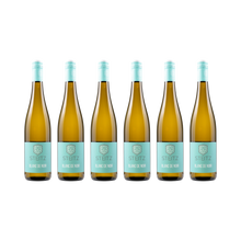 Blanc de Noir 2025 – 6er Weinpaket