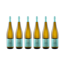 Riesling trocken 2024 – 6er Weinpaket