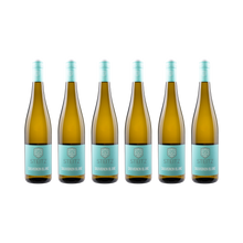 Sauvignon Blanc 2024 – 6er Weinpaket