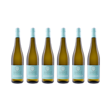 Sauvignon Blanc 2025 – 6er Weinpaket
