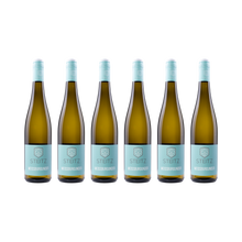 Weißburgunder – 2025 — 6x 750 ml