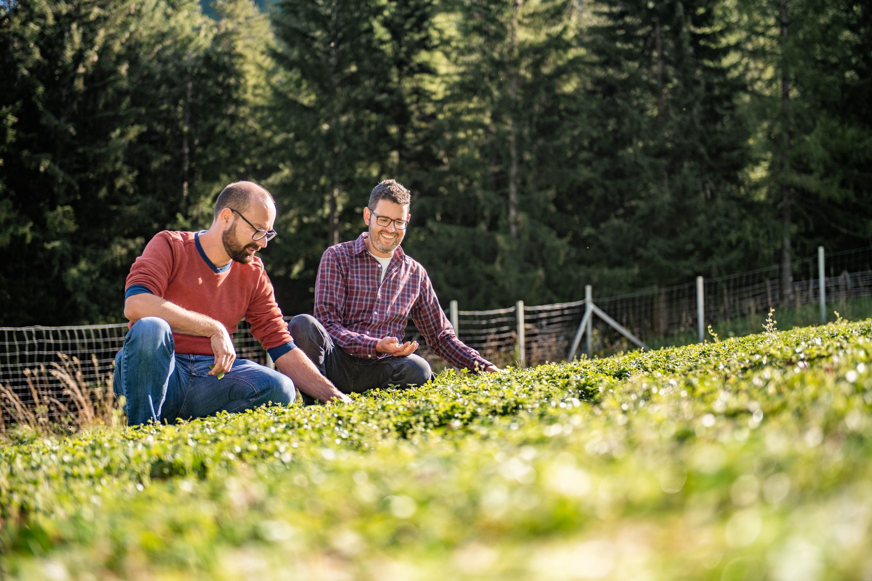 Südtiroler Kräuter Rebellen