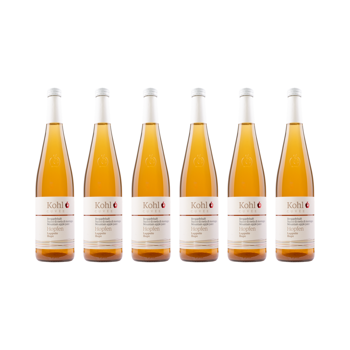 Apfelsaft mit Hopfen – 6× 750 ml