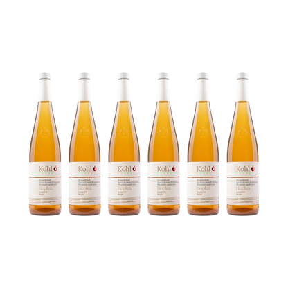 Apfelsaft mit Hopfen – 6× 750 ml