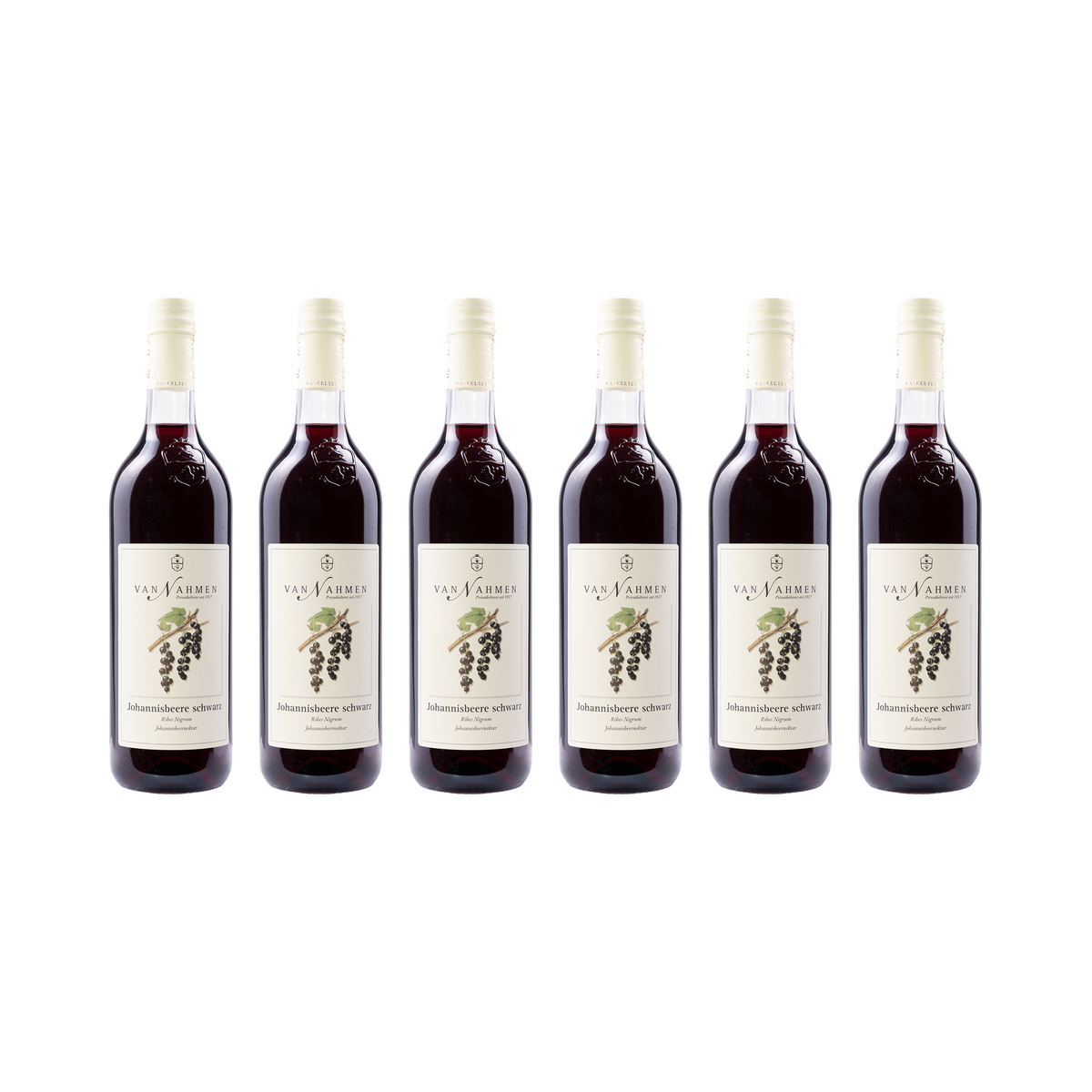Schwarze Johannisbeere Nektar – 6× 750 ml