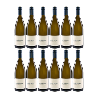 Weedenborn  Sauvignon Blanc  12er Weinpaket