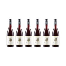 Blauer Spätburgunder – 2022 - 6x 750 ml