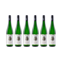 Riesling Kalkmergel – 2024 — 6x 750 ml
