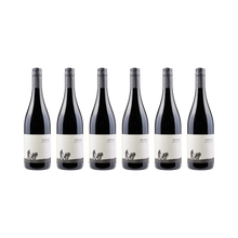 Cuvée Noir – 2023 — 6× 750 ml