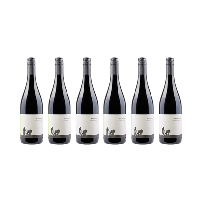 Cuvée Noir – 2023 — 6× 750 ml