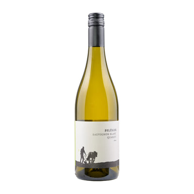 Sauvignon Blanc Quartzite – 2024