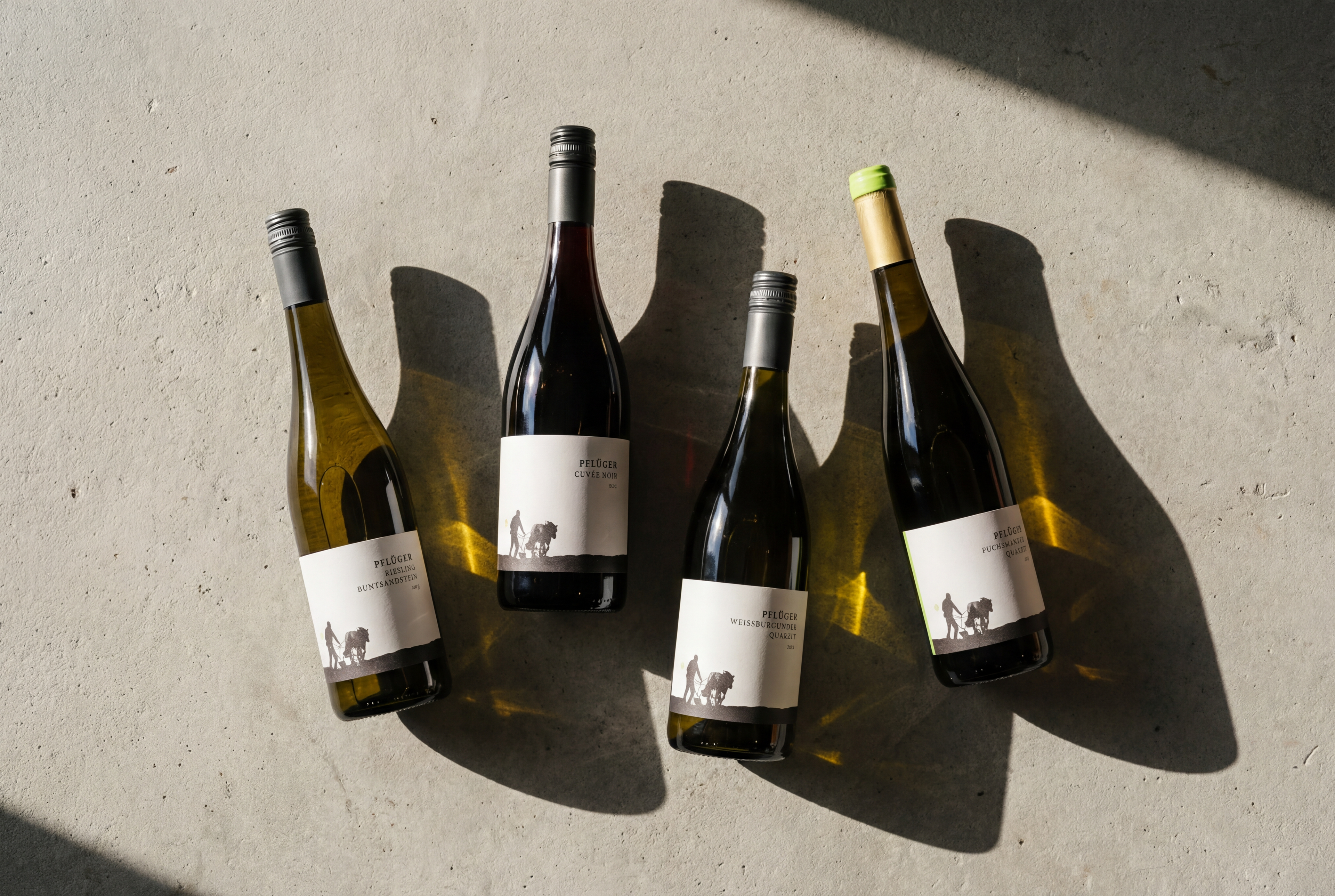 Weingut Pflüger: biodynamisch und authentisch – aus Bad-Dürkheim