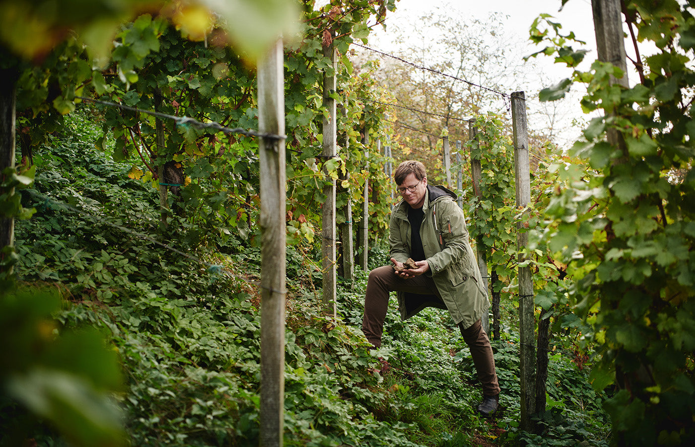 Weingut Wohlmuth