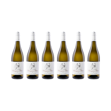 Sauvignon Blanc – 2025 — 6× 750 ml