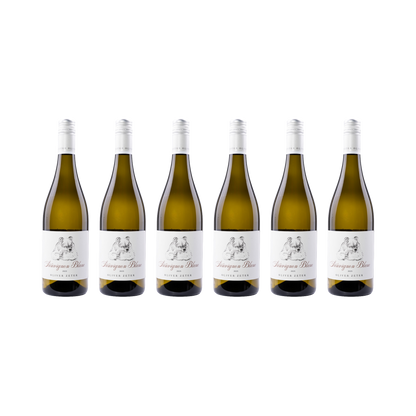 Sauvignon Blanc – 2025 — 6× 750 ml