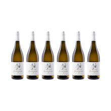 Grauburgunder – 2025 — 6× 750 ml