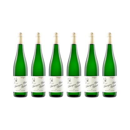 Sauvignon Blanc Kabinett – 2024 — 6× 750 ml
