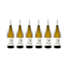Weißburgunder – 2024 — 6× 750 ml