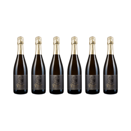 Sauvignon Blanc Sekt Brut — 6× 750 ml