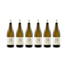 Viognier – 2023 — 6× 750 ml
