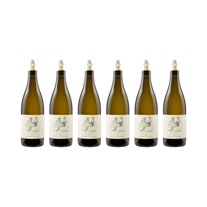Viognier – 2023 — 6× 750 ml