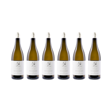 Oliver Zeter 6er-Set — Sauvignon Fume 2024
