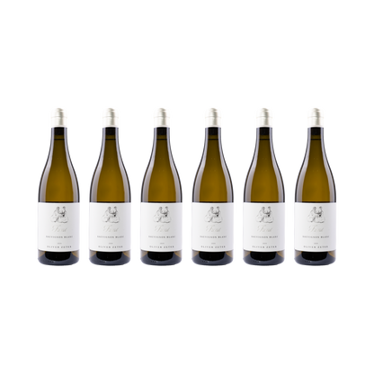 Oliver Zeter 6er-Set — Sauvignon Fume 2024