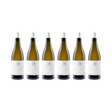 Oliver Zeter 6er-Set — Viognier 2024