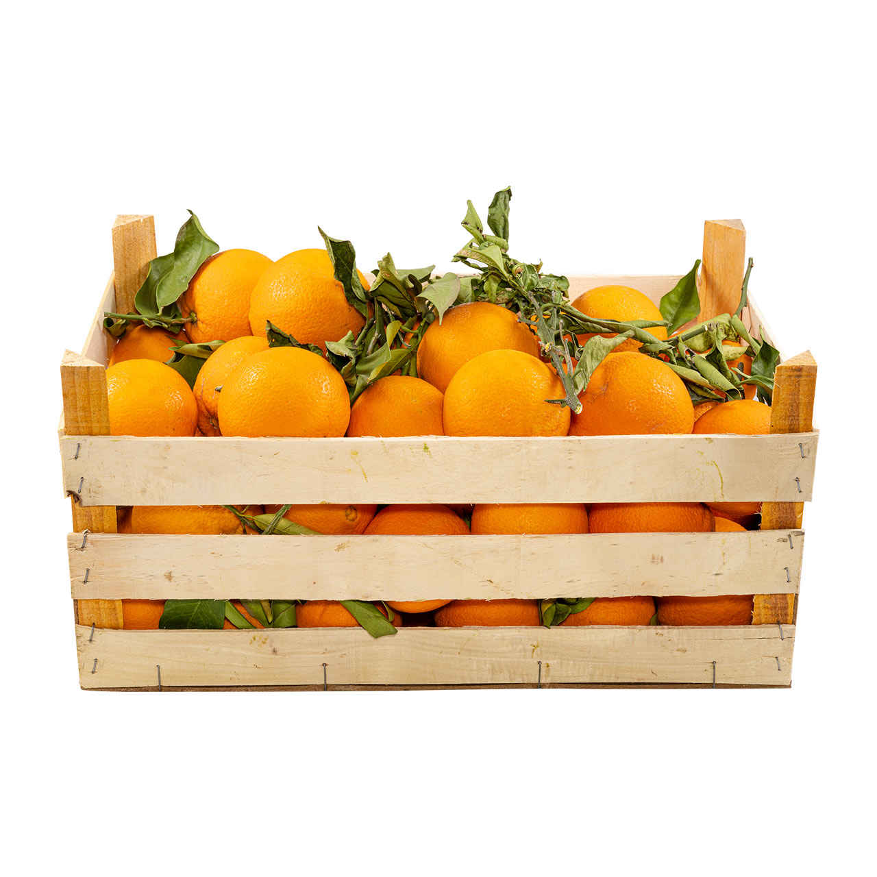 | nur Kiste Gutes Sizilianische Orangen